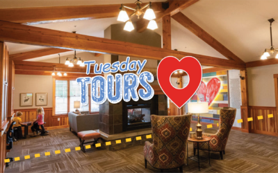 Tuesday Tours